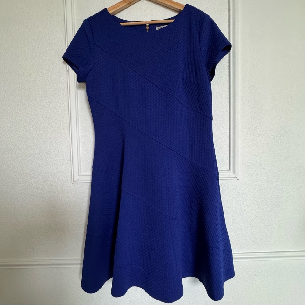 Dany and Nicole Royal Blue Textured Dress 14 Office Business Casual